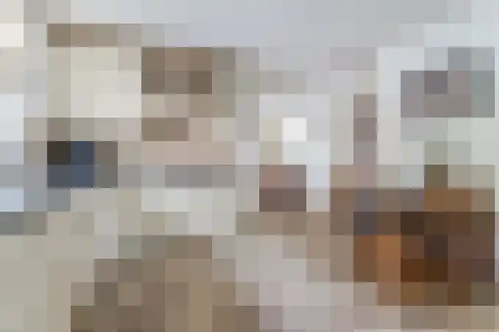 Het Kaar 55 Bergeijk foto 3
