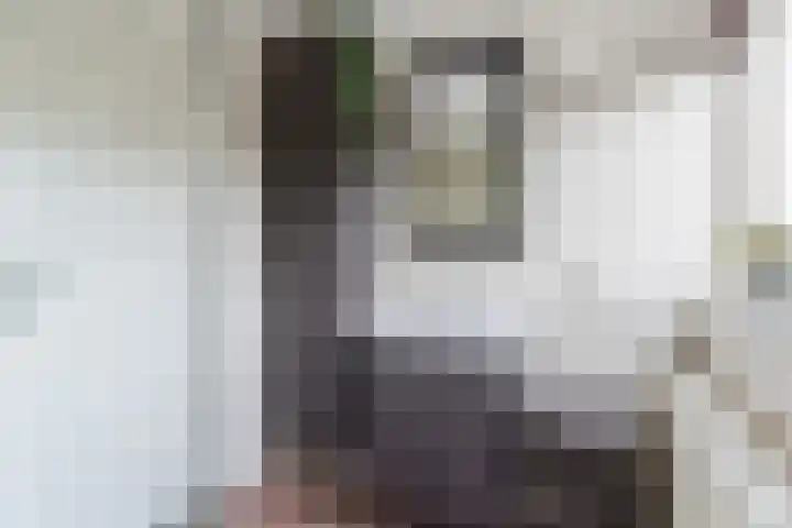 Het Kaar 55 Bergeijk thumbnail 31