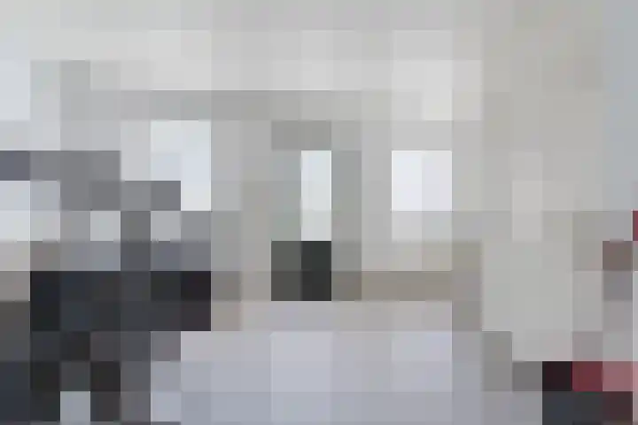 Het Kaar 55 Bergeijk thumbnail 33