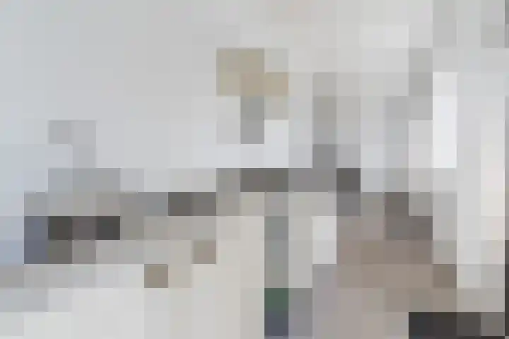 Het Kaar 55 Bergeijk thumbnail 35