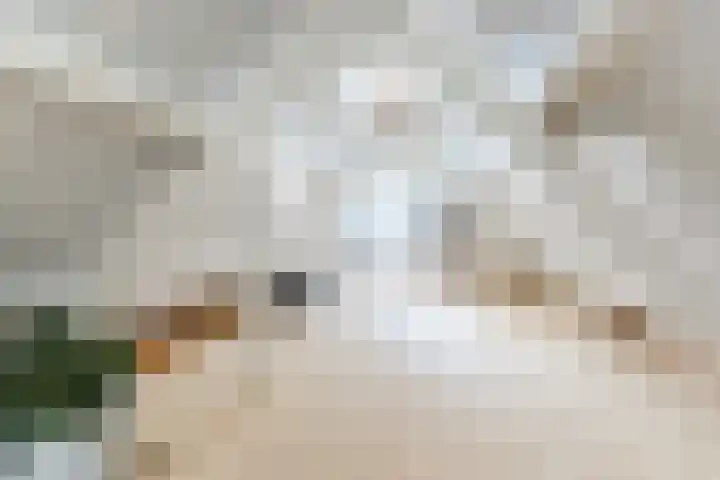 Het Kaar 55 Bergeijk thumbnail 36