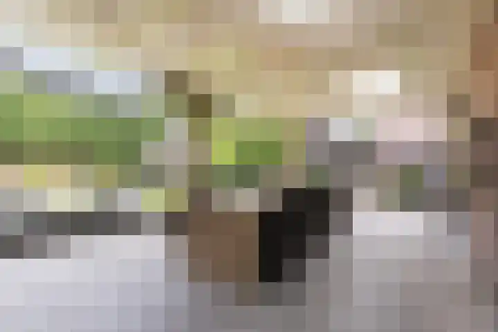 Het Kaar 55 Bergeijk thumbnail 37