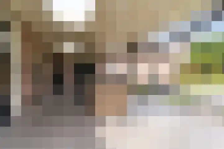 Het Kaar 55 Bergeijk thumbnail 38