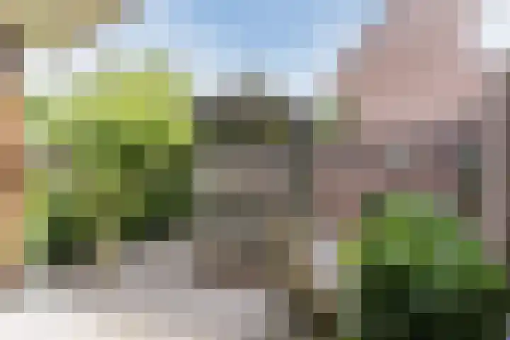 Het Kaar 55 Bergeijk thumbnail 39