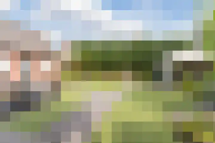 Het Kaar 55 Bergeijk thumbnail 40
