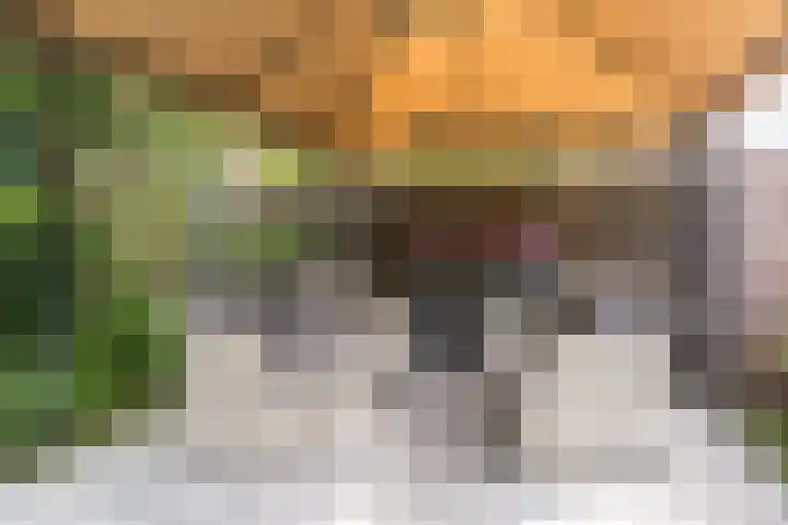 Het Kaar 55 Bergeijk thumbnail 42