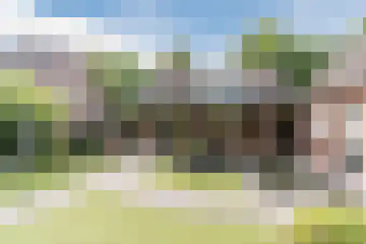 Het Kaar 55 Bergeijk thumbnail 44