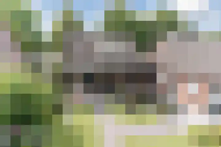 Het Kaar 55 Bergeijk thumbnail 45
