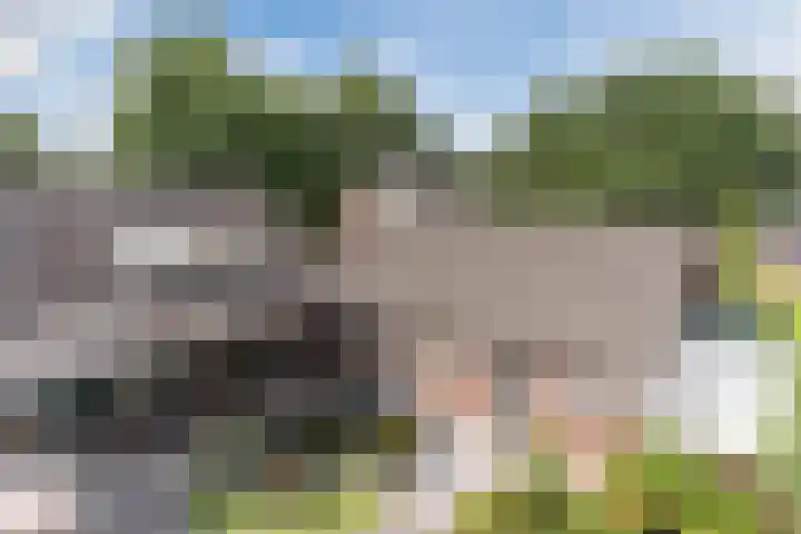 Het Kaar 55 Bergeijk thumbnail 46