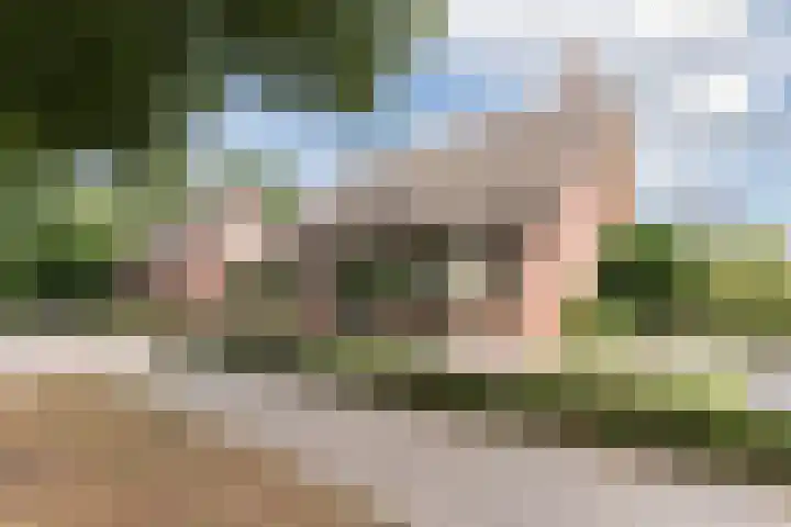 Het Kaar 55 Bergeijk thumbnail 48