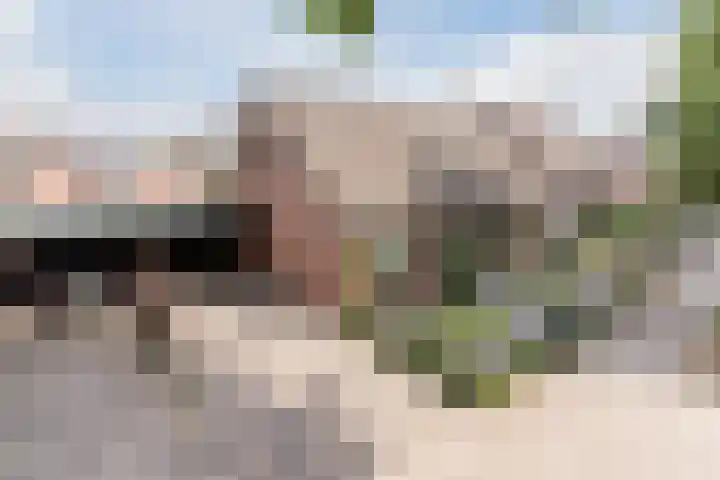 Het Kaar 55 Bergeijk thumbnail 49