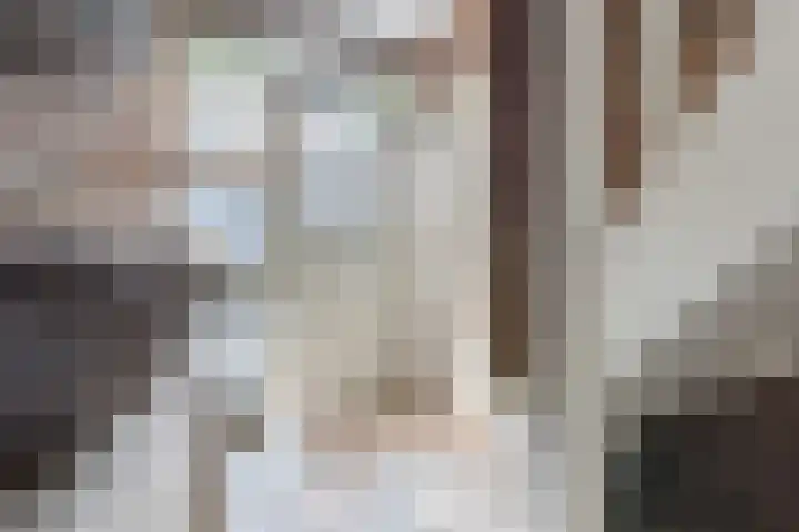 Het Kaar 55 Bergeijk thumbnail 5
