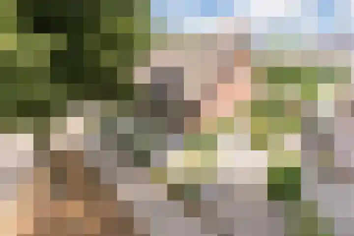 Het Kaar 55 Bergeijk thumbnail 50