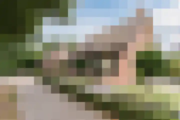 Het Kaar 55 Bergeijk thumbnail 51