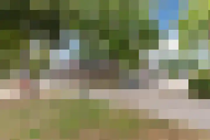 Het Kaar 55 Bergeijk thumbnail 54
