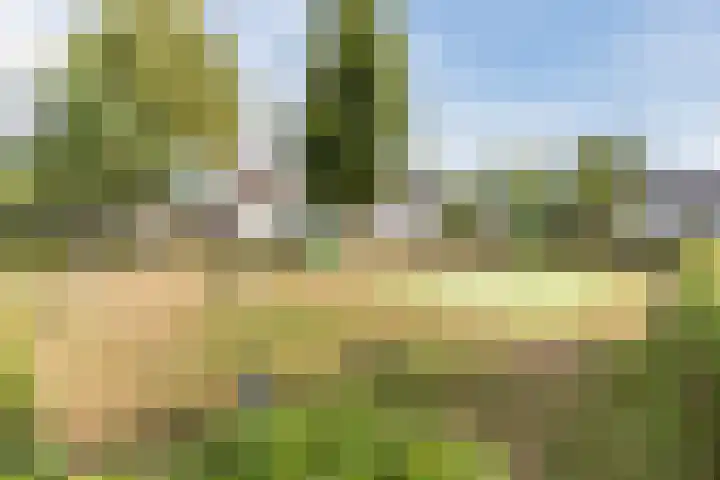 Het Kaar 55 Bergeijk thumbnail 55