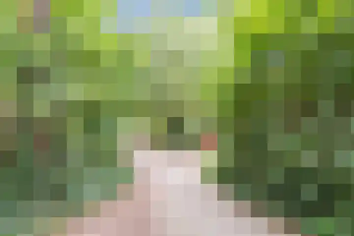 Het Kaar 55 Bergeijk thumbnail 57