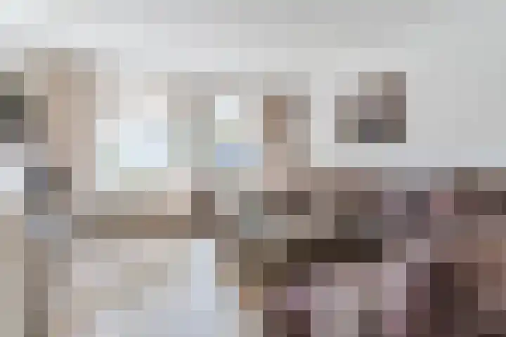 Het Kaar 55 Bergeijk thumbnail 7