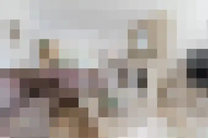 Het Kaar 55 Bergeijk thumbnail 9