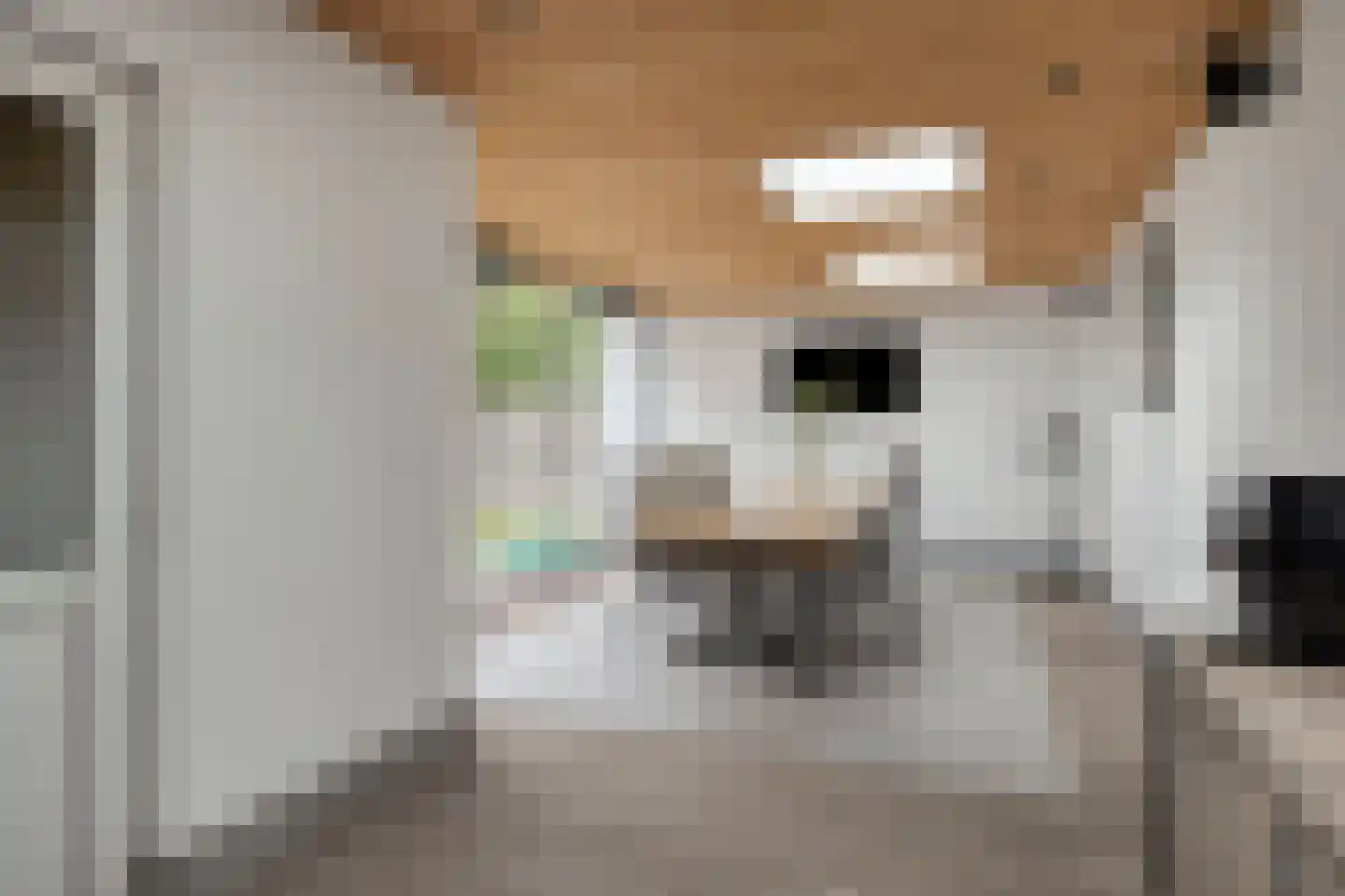 Het Kaar 63 Bergeijk thumbnail 20