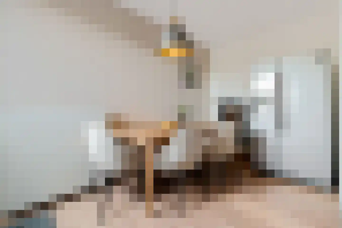 Het Kalverpad 1 Oostzaan thumbnail 18