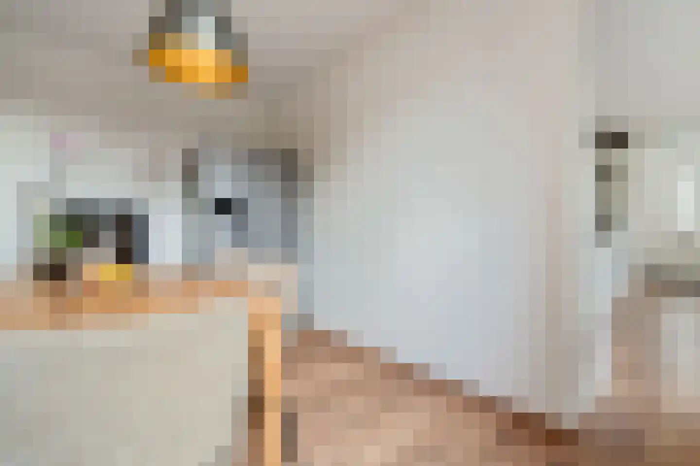 Het Kalverpad 1 Oostzaan thumbnail 19