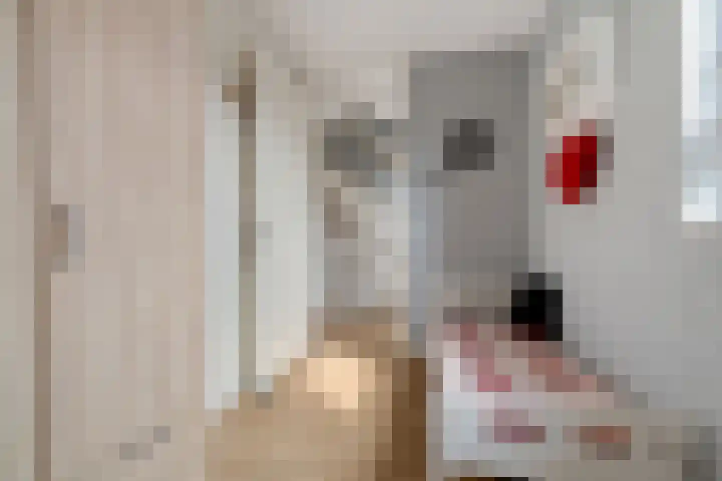 Het Kalverpad 1 Oostzaan thumbnail 21