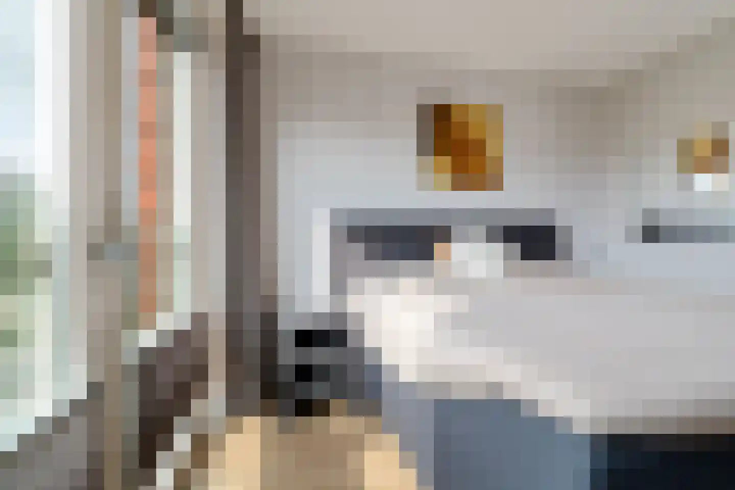 Het Kalverpad 1 Oostzaan thumbnail 24