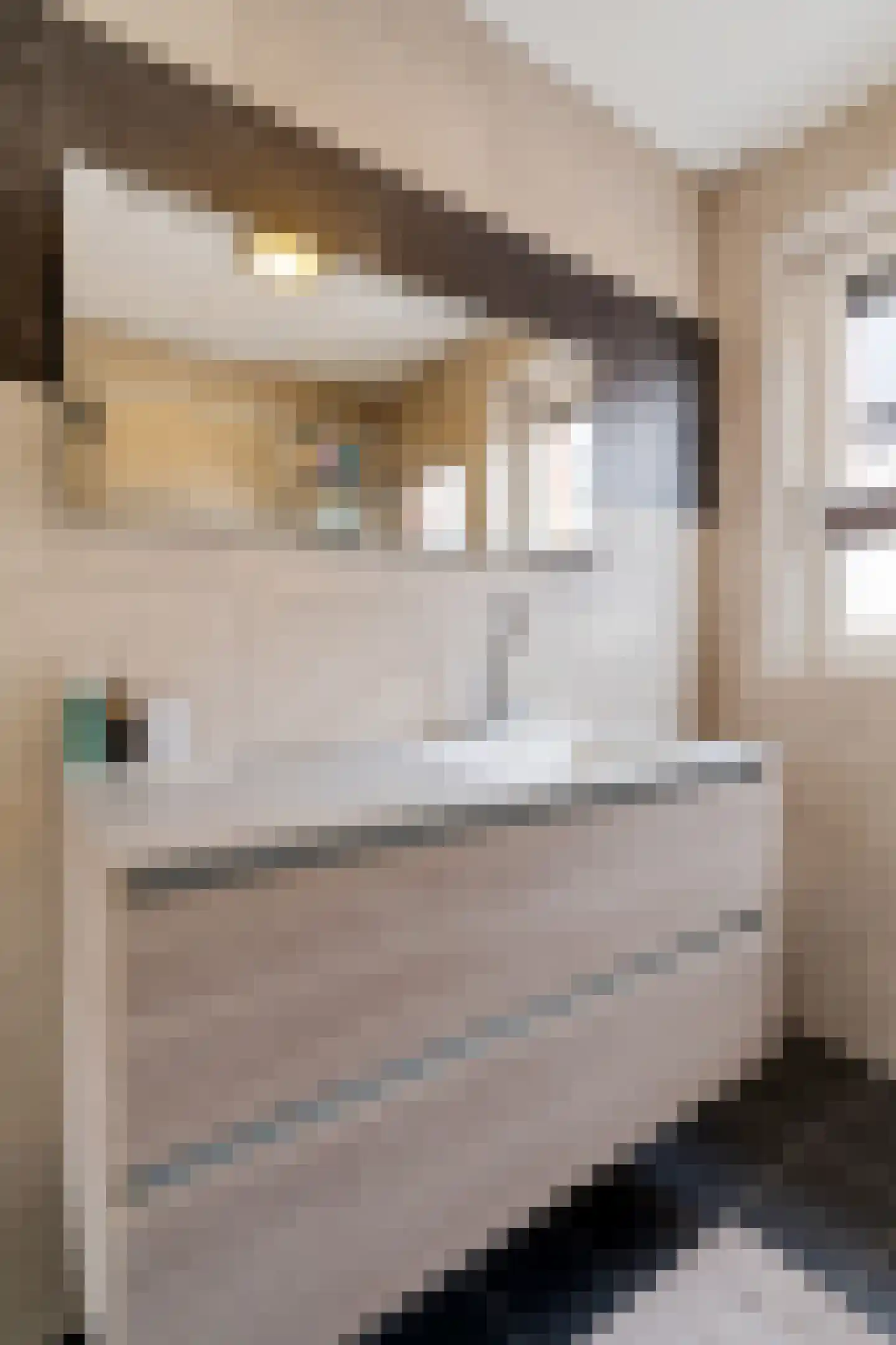 Het Kalverpad 1 Oostzaan thumbnail 29