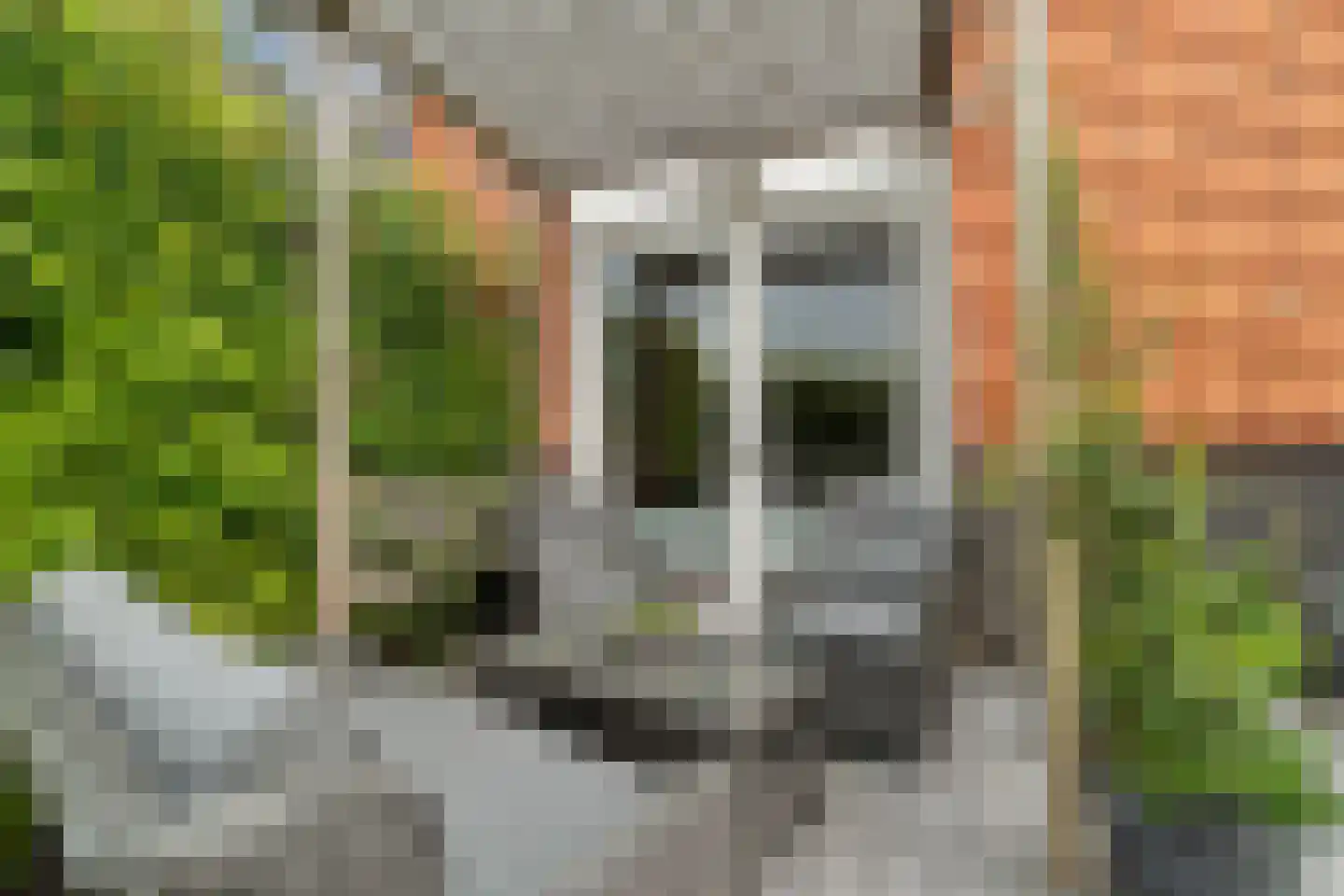 Het Kalverpad 1 Oostzaan thumbnail 45