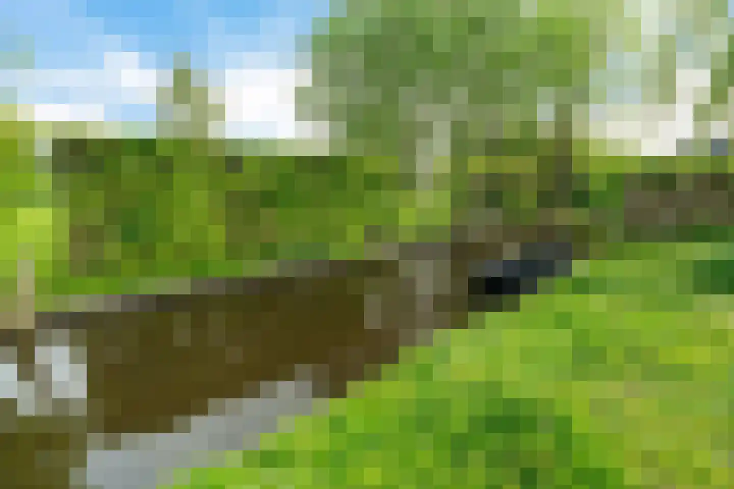 Het Kalverpad 1 Oostzaan thumbnail 58