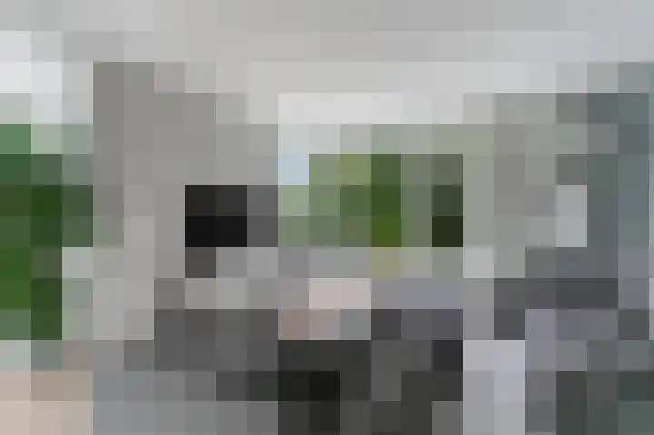 Het Kalverpad 11 Oostzaan thumbnail 16