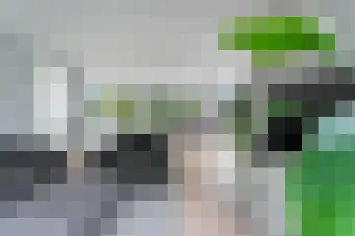 Het Kalverpad 11 Oostzaan thumbnail 17