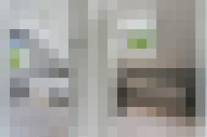 Het Kalverpad 11 Oostzaan thumbnail 42