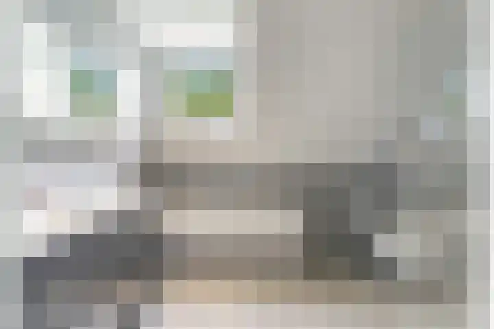 Het Kalverpad 11 Oostzaan thumbnail 44