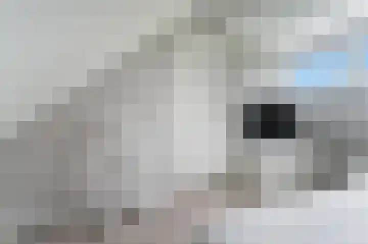 Het Kalverpad 11 Oostzaan thumbnail 53