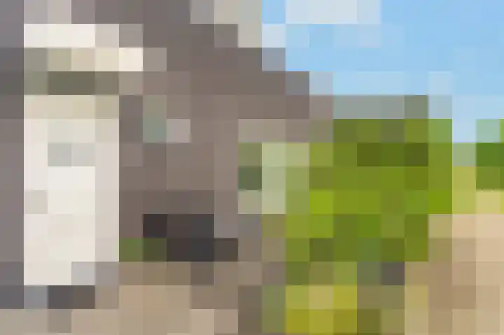 Het Kalverpad 11 Oostzaan thumbnail 55