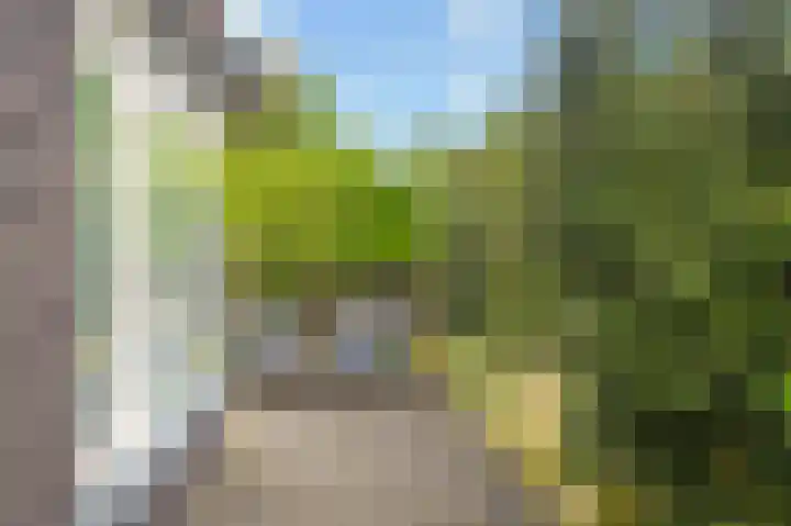Het Kalverpad 11 Oostzaan thumbnail 59