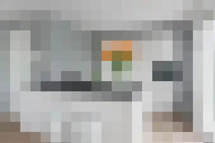 Het Kalverpad 11 Oostzaan thumbnail 6