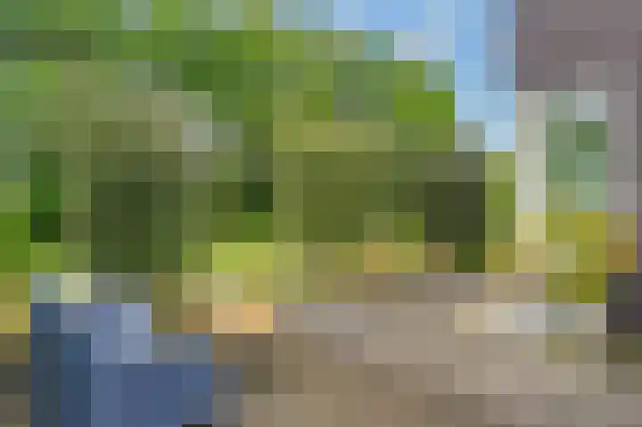 Het Kalverpad 11 Oostzaan thumbnail 61