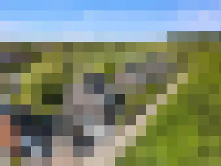 Het Kalverpad 11 Oostzaan thumbnail 63