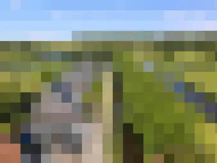 Het Kalverpad 11 Oostzaan thumbnail 64