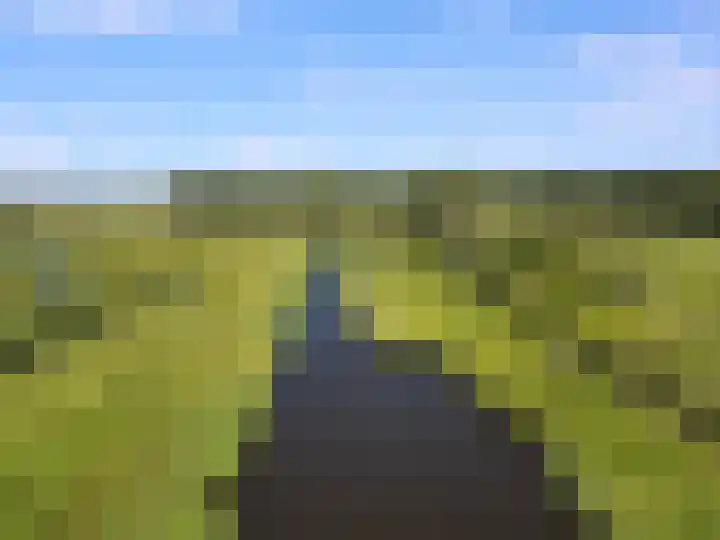 Het Kalverpad 11 Oostzaan thumbnail 65