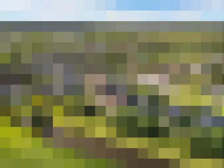 Het Kalverpad 11 Oostzaan thumbnail 68