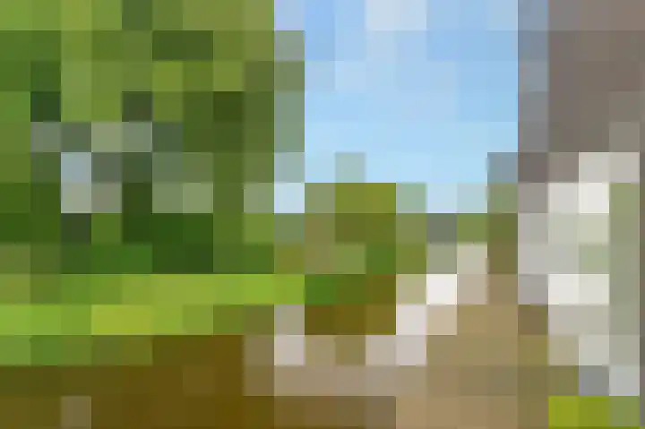 Het Kalverpad 11 Oostzaan thumbnail 7