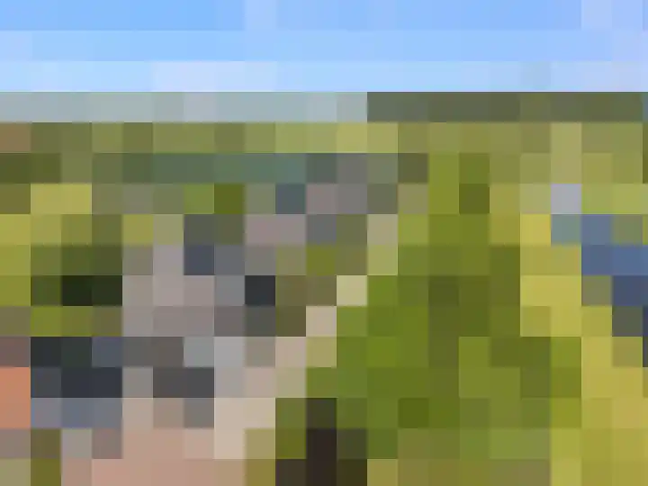 Het Kalverpad 11 Oostzaan thumbnail 73