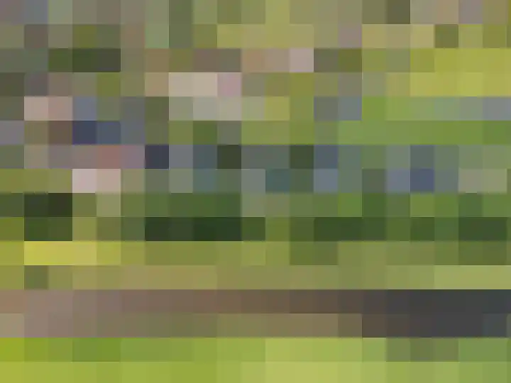 Het Kalverpad 11 Oostzaan thumbnail 9