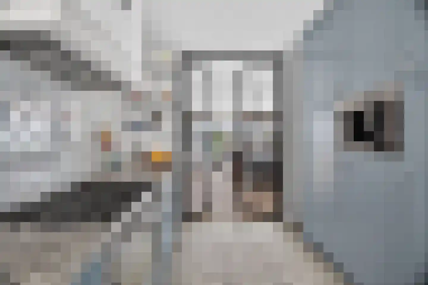 Het Kalverpad 7 Oostzaan thumbnail 19