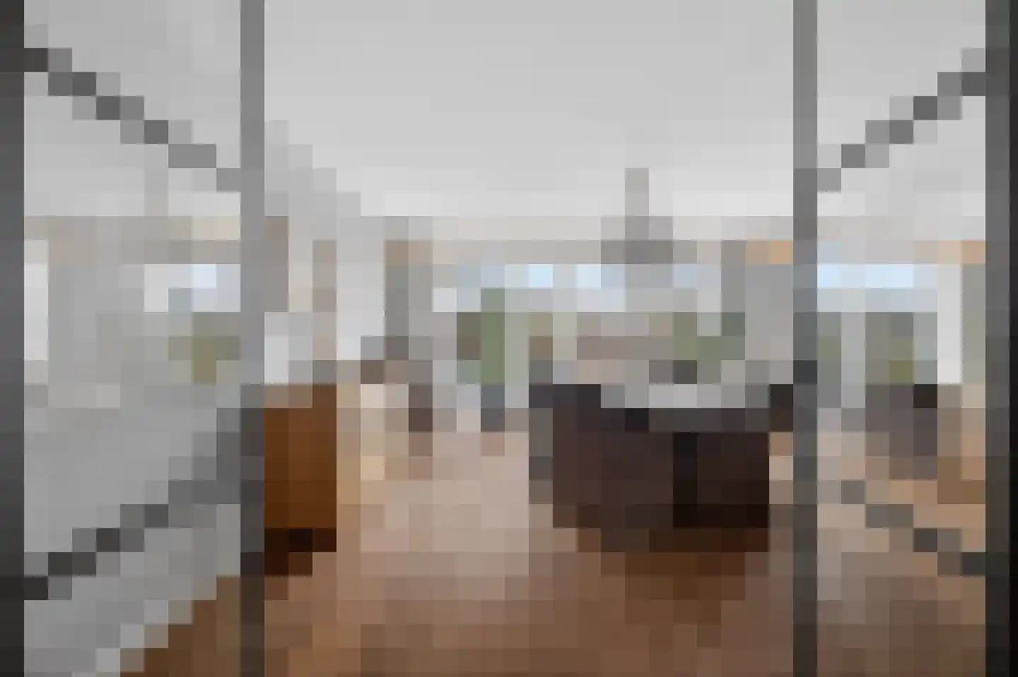 Het Kalverpad 7 Oostzaan thumbnail 21
