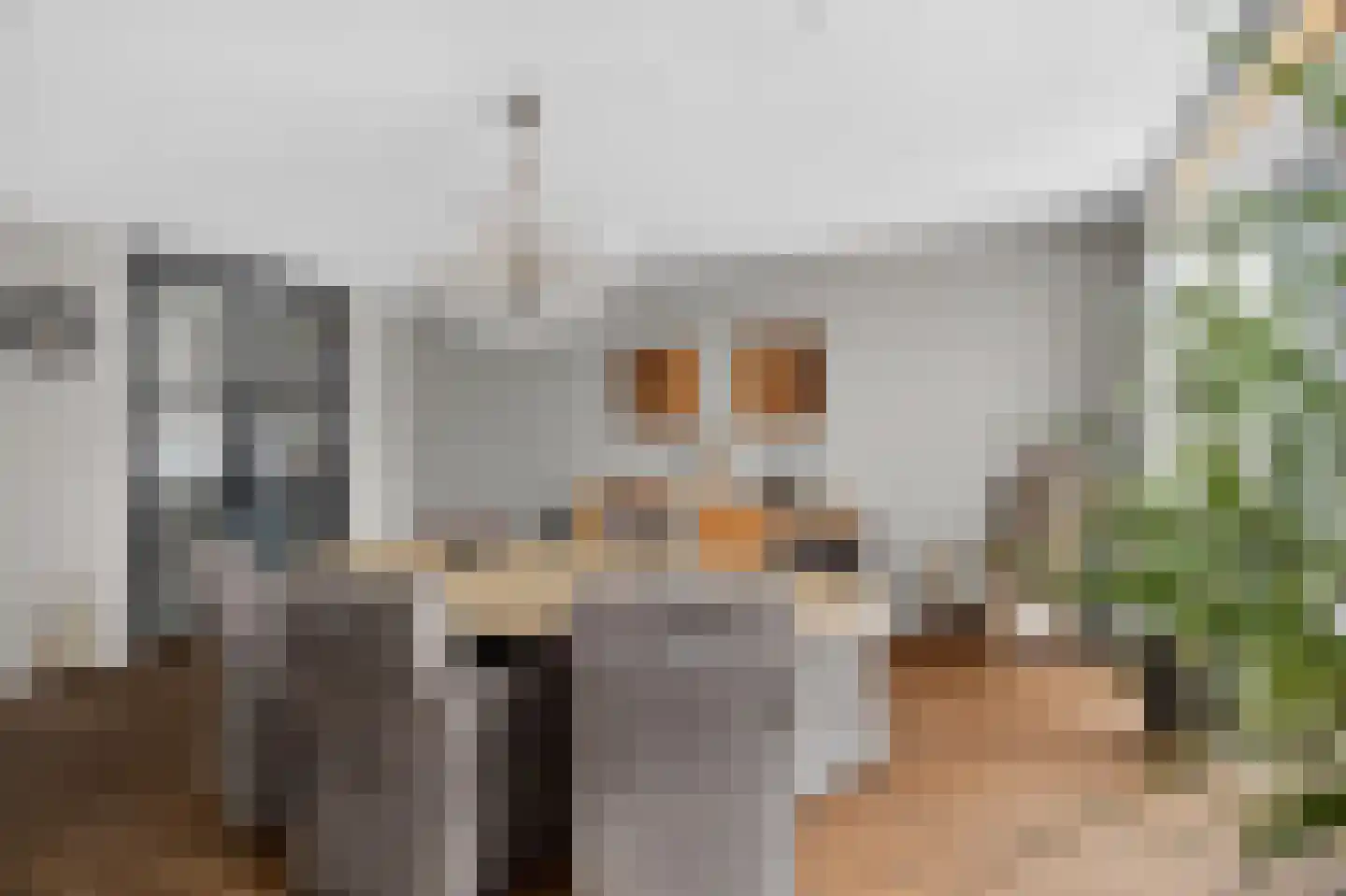 Het Kalverpad 7 Oostzaan thumbnail 22